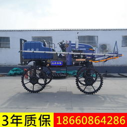 自走式三輪打藥機 高效農(nóng)用殺蟲噴藥新選擇
