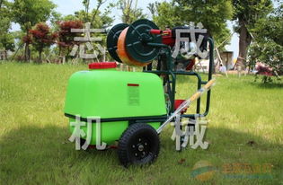 志成牌果樹(shù)噴藥機(jī)廠家直銷(xiāo)——助力高效農(nóng)業(yè)，守護(hù)豐收希望