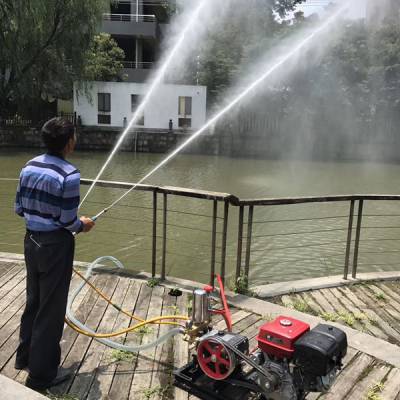 農(nóng)田噴藥設(shè)備選購(gòu)指南 柴油、汽油與手推式噴藥機(jī)價(jià)格與特性解析