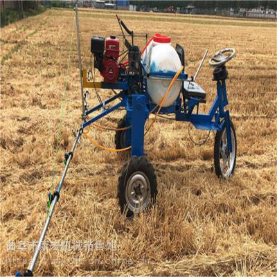 婁底園林四輪手推式打藥機(jī)與柴油機(jī)三輪車(chē)小麥噴藥機(jī)及運(yùn)苗機(jī)綜合應(yīng)用解析